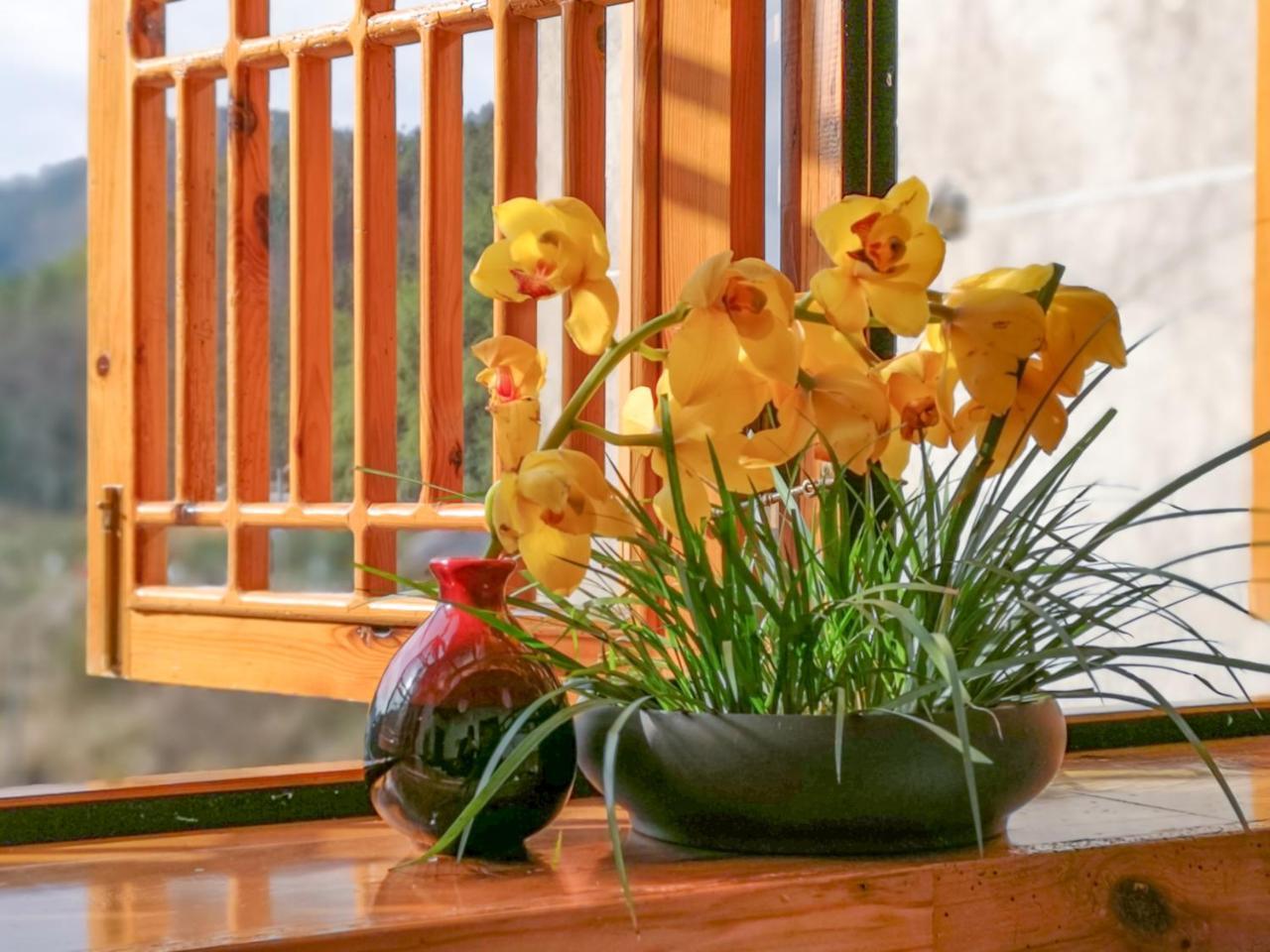 Zhangjiajie National Park Yuelu Homestay Eksteriør billede